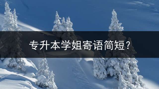 专升本学姐寄语简短？