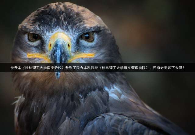 专升本（桂林理工大学南宁分校）升到了民办本科院校（桂林理工大学博文管理学院），还有必要读下去吗？