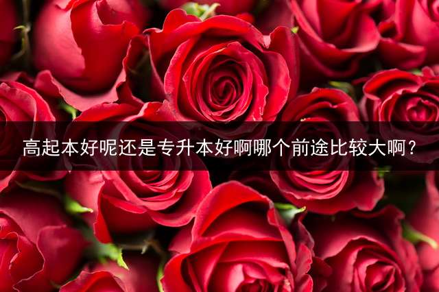 高起本好呢还是专升本好啊哪个前途比较大啊？