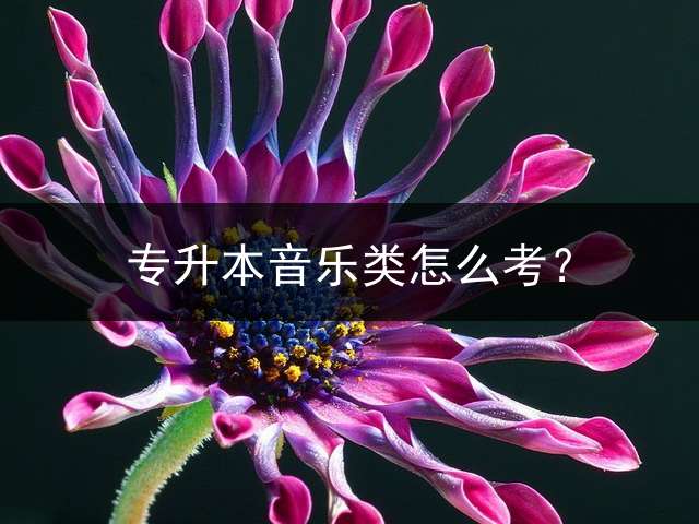 专升本音乐类怎么考？