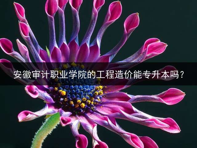 安徽审计职业学院的工程造价能专升本吗？