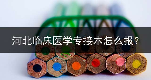 河北临床医学专接本怎么报？