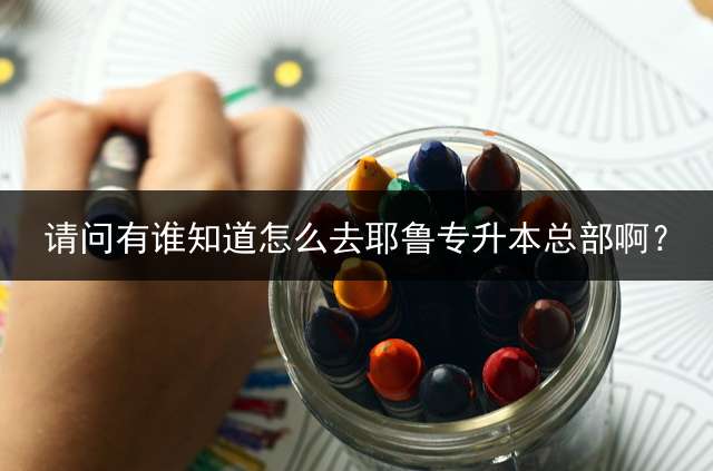 请问有谁知道怎么去耶鲁专升本总部啊？