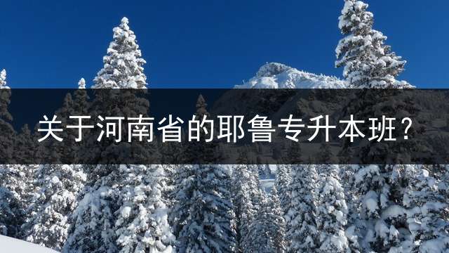 关于河南省的耶鲁专升本班？