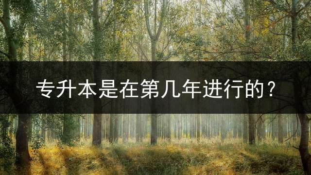 专升本是在第几年进行的？