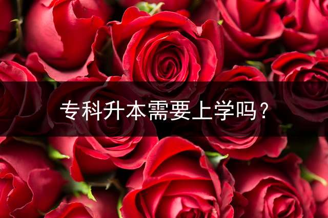 专科升本需要上学吗？