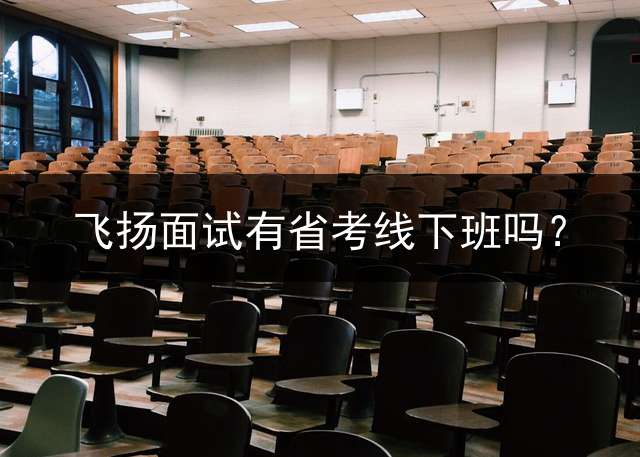 飞扬面试有省考线下班吗？