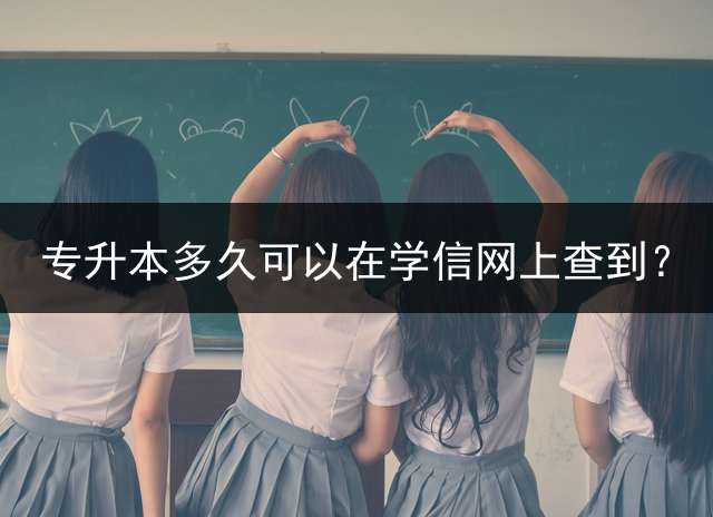 专升本多久可以在学信网上查到？