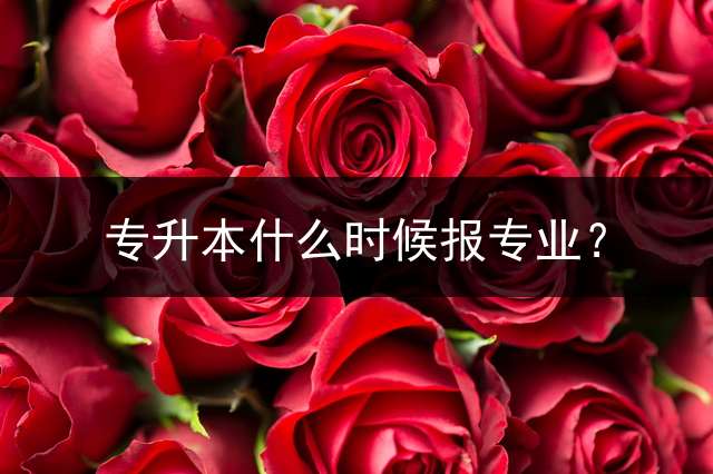 专升本什么时候报专业？