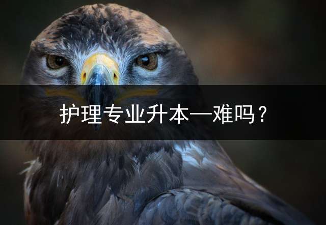 护理专业升本—难吗？