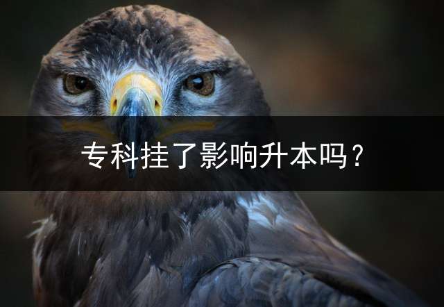 专科挂了影响升本吗？
