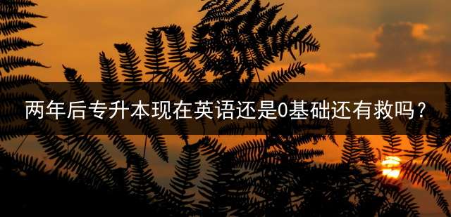 两年后专升本现在英语还是0基础还有救吗？