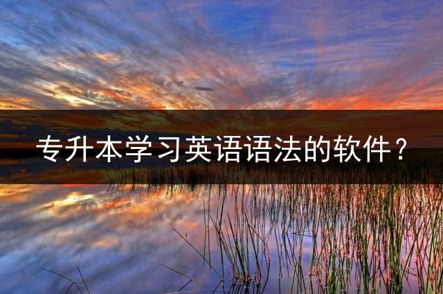 专升本学习英语语法的软件？