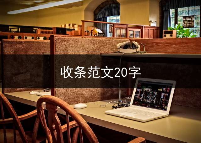 收条范文20字
