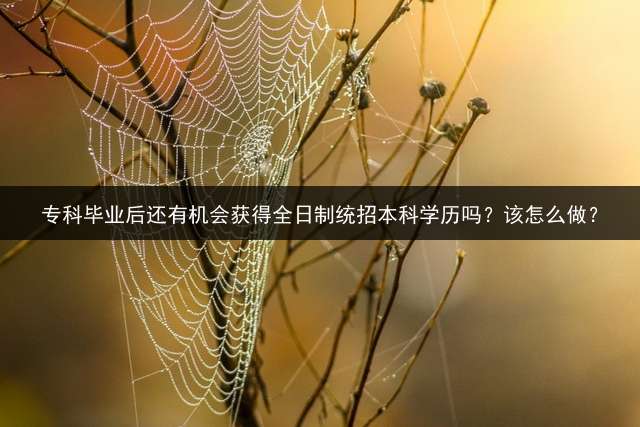 专科毕业后还有机会获得全日制统招本科学历吗？该怎么做？