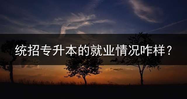 统招专升本的就业情况咋样？
