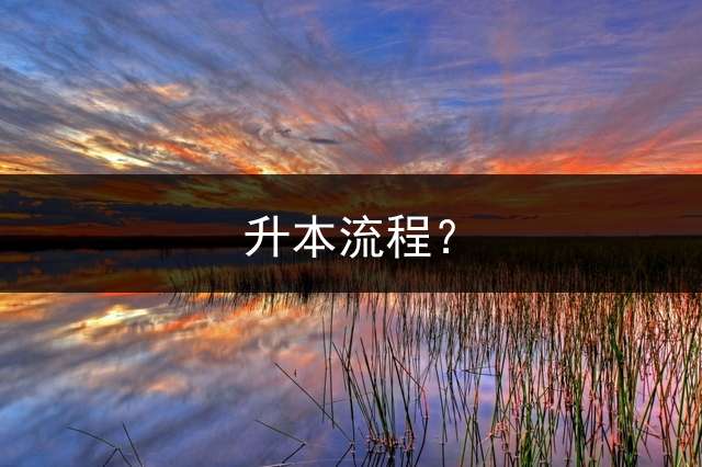 升本流程？