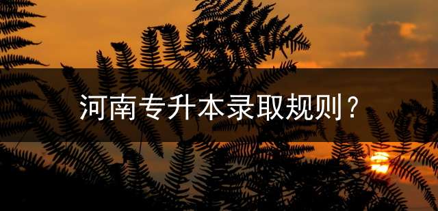 河南专升本录取规则？