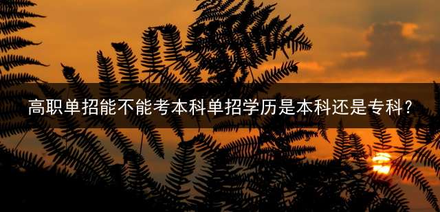 高职单招能不能考本科单招学历是本科还是专科？