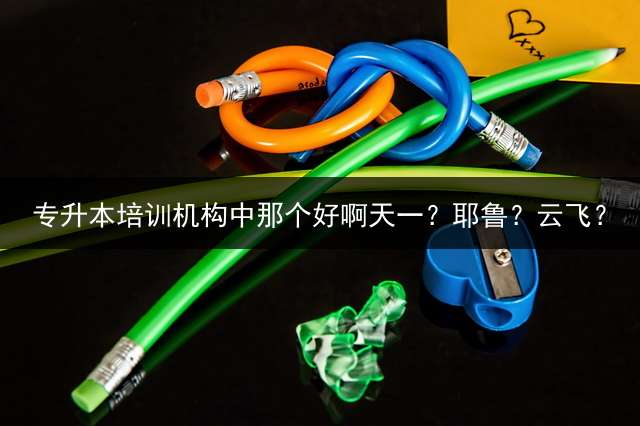 专升本培训机构中那个好啊天一？耶鲁？云飞？ 在天津专升本是上网课好还是上培训班好？