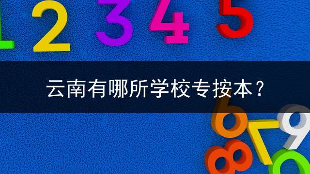 云南有哪所学校专按本？