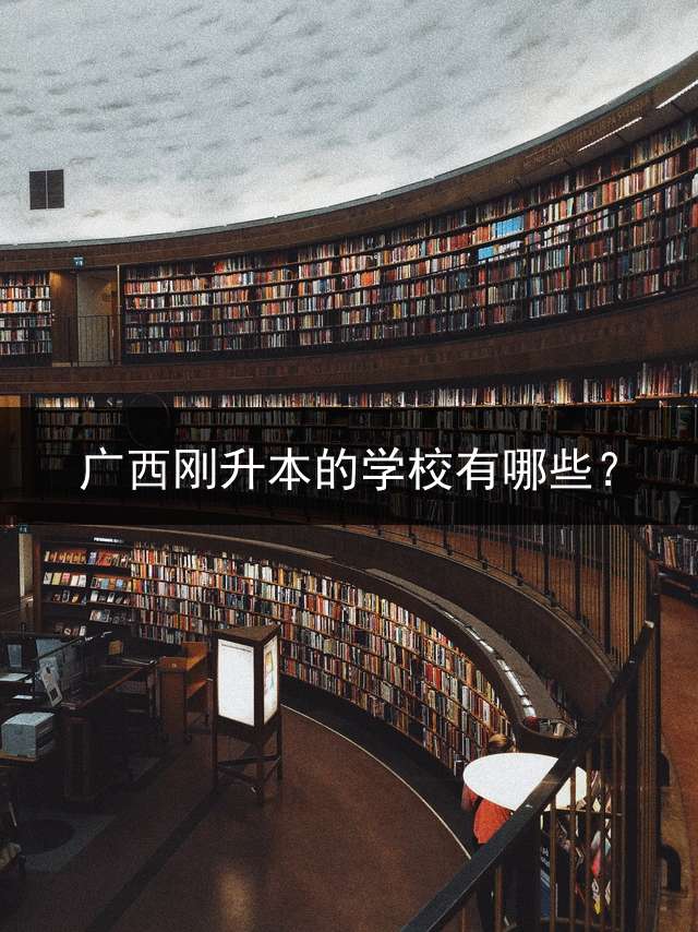 广西刚升本的学校有哪些？