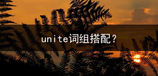 unite词组搭配？