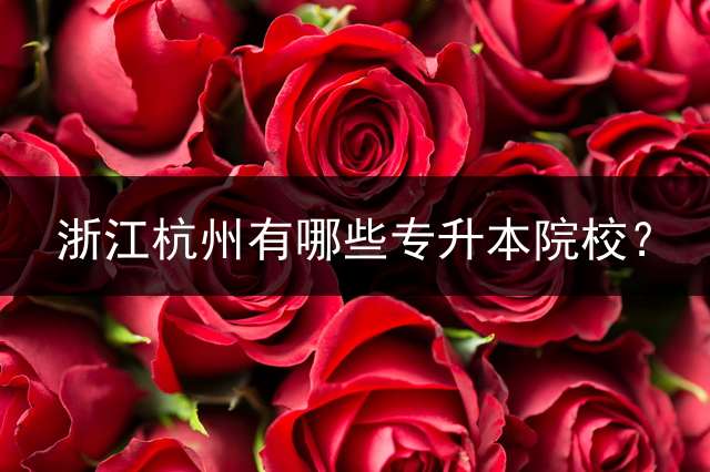 浙江杭州有哪些专升本院校？