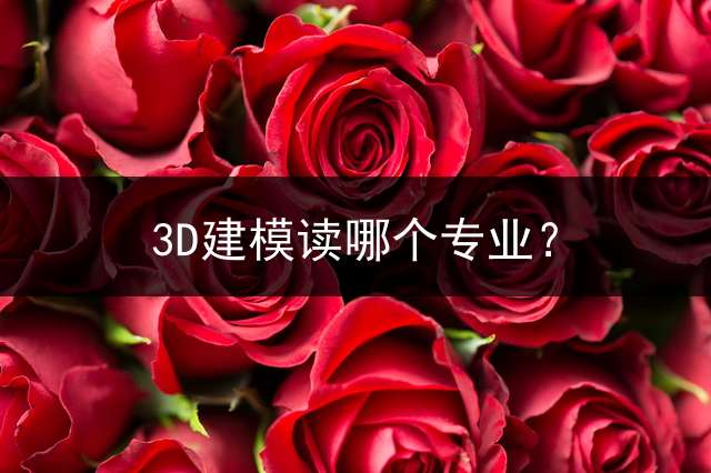 3D建模读哪个专业？