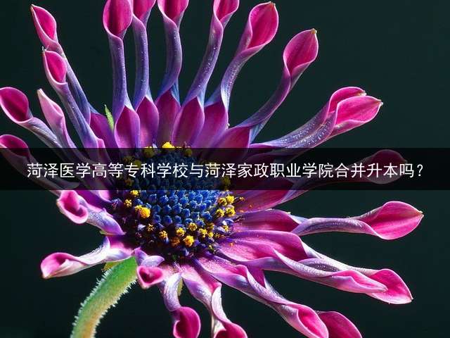 菏泽医学高等专科学校与菏泽家政职业学院合并升本吗？