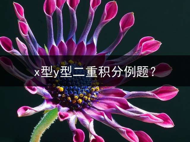 x型y型二重积分例题？