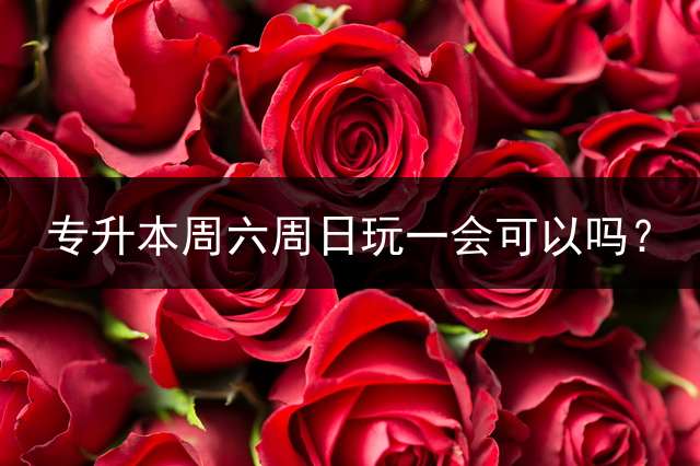 专升本周六周日玩一会可以吗？