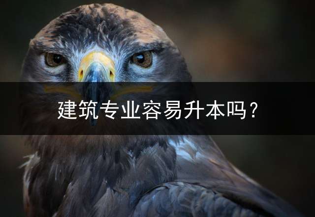 建筑专业容易升本吗？
