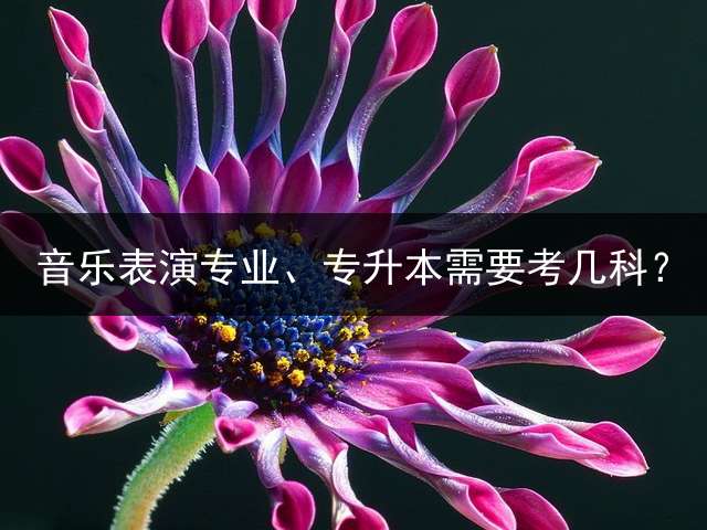 音乐表演专业、专升本需要考几科？