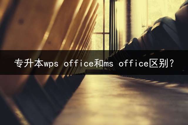 专升本wps office和ms office区别？