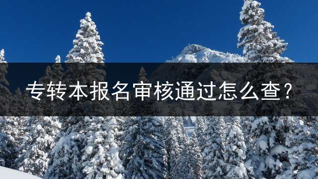 专转本报名审核通过怎么查？