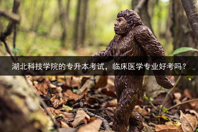 湖北科技学院的专升本考试，临床医学专业好考吗？