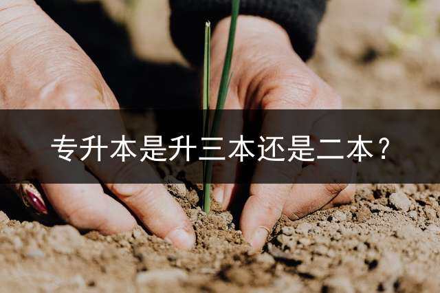 专升本是升三本还是二本？