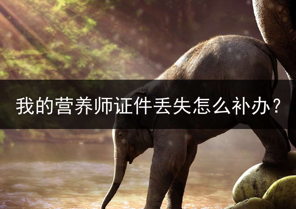 我的营养师证件丢失怎么补办？