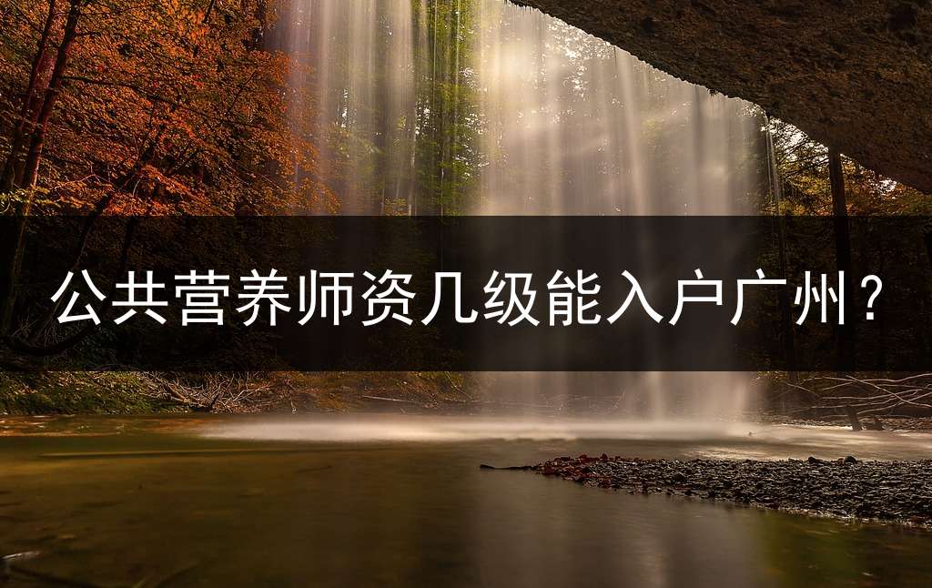 公共营养师资几级能入户广州？