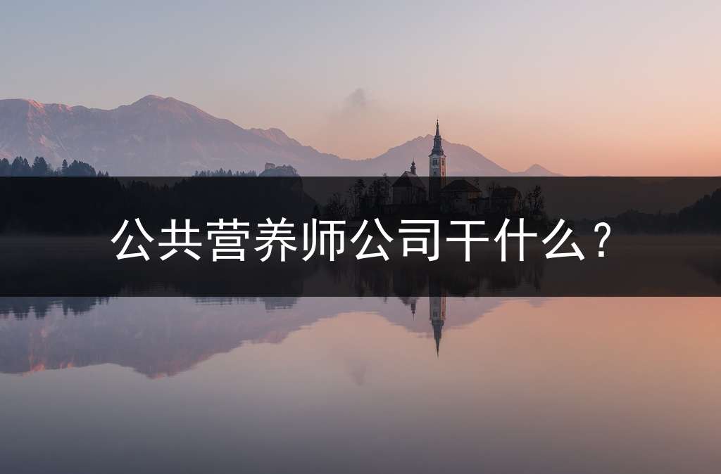 公共营养师公司干什么？