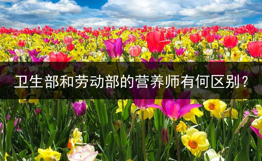卫生部和劳动部的营养师有何区别？