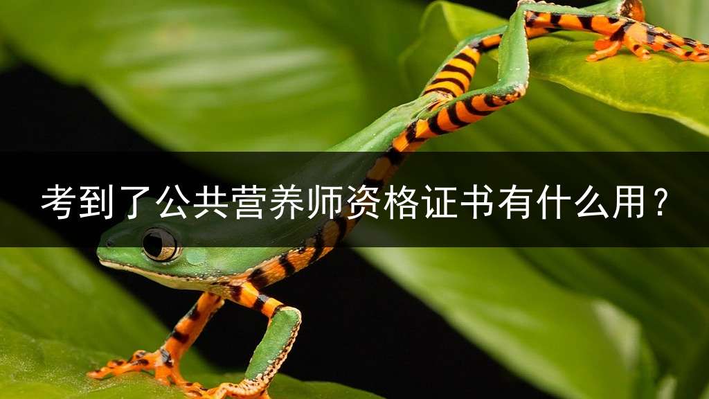 考到了公共营养师资格证书有什么用？