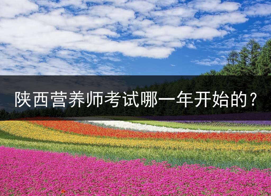 陕西营养师考试哪一年开始的？