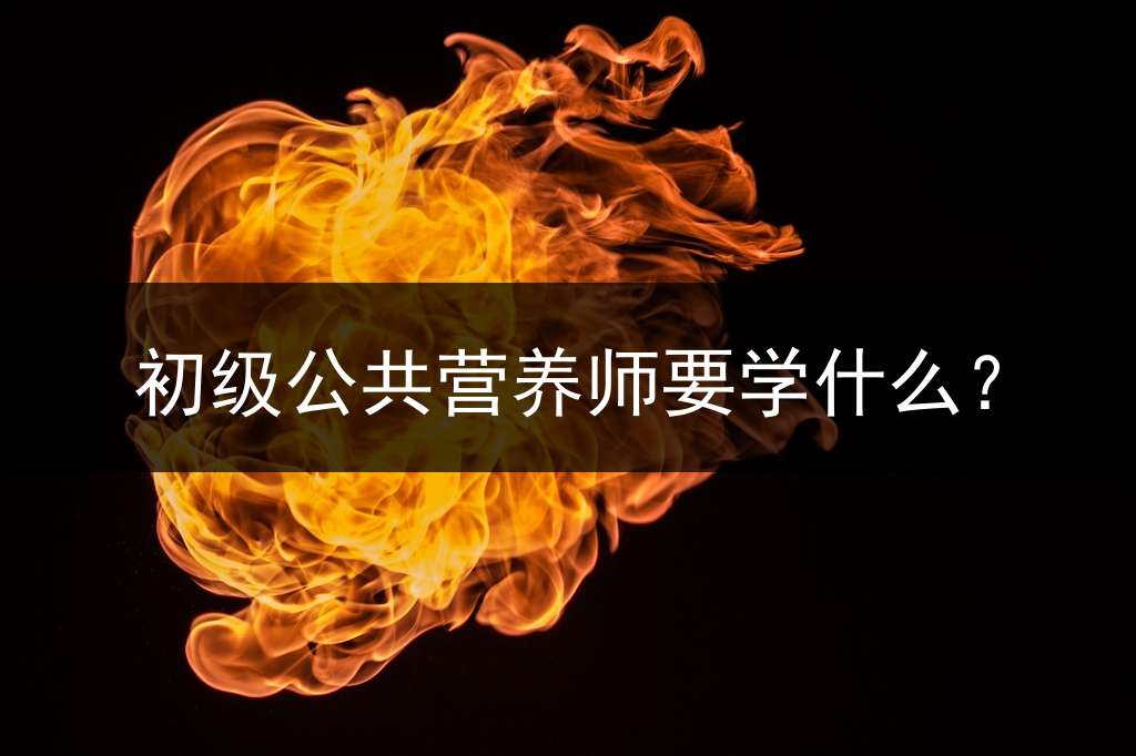 初级公共营养师要学什么？