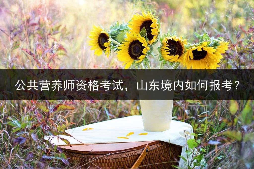 公共营养师资格考试，山东境内如何报考？