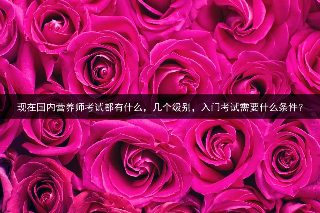 现在国内营养师考试都有什么，几个级别，入门考试需要什么条件？