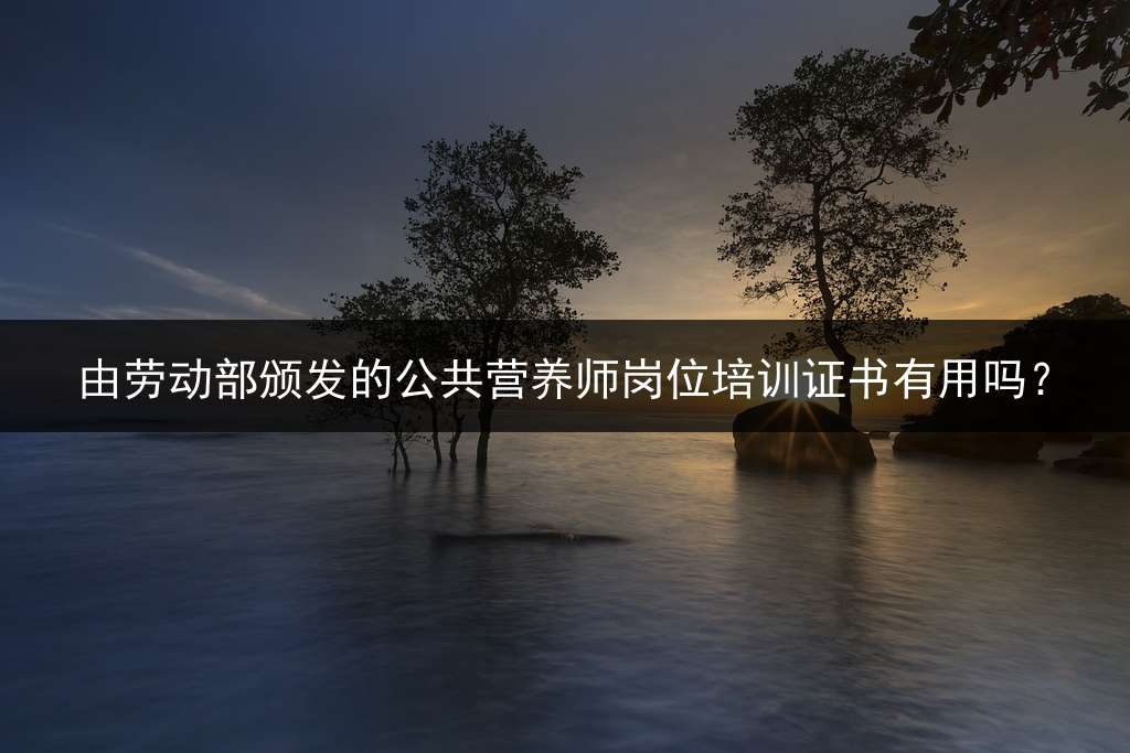 由劳动部颁发的公共营养师岗位培训证书有用吗？