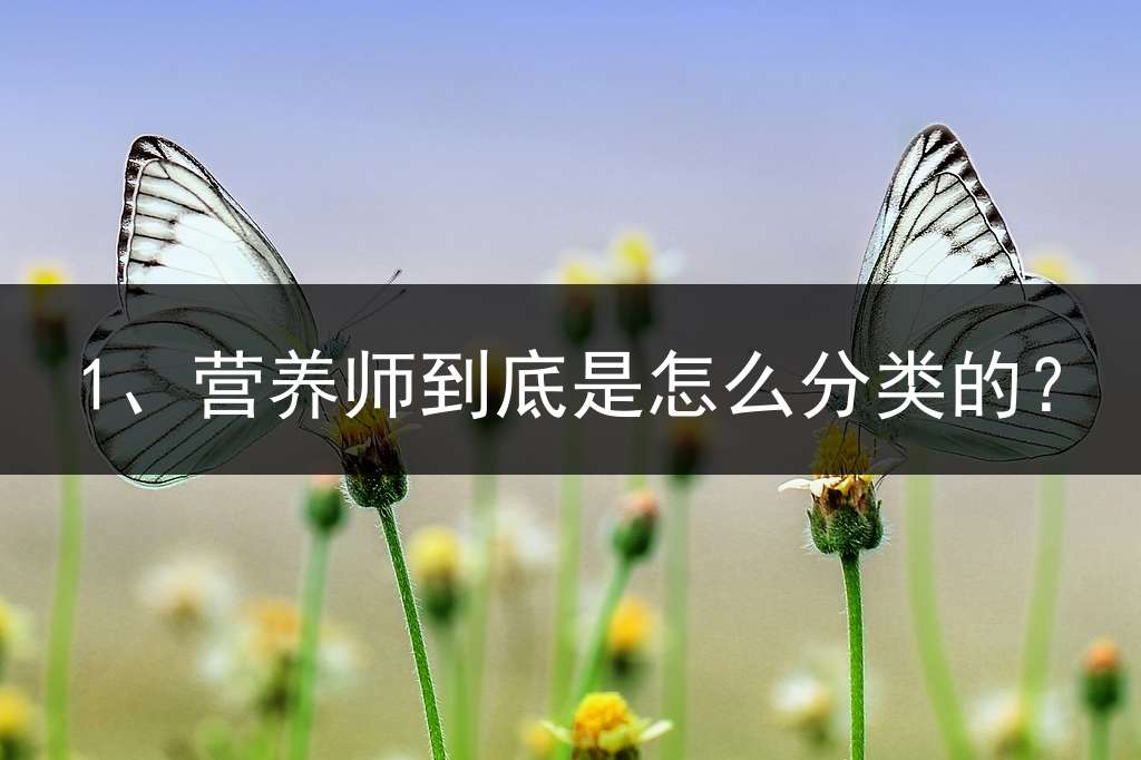 1、营养师到底是怎么分类的？