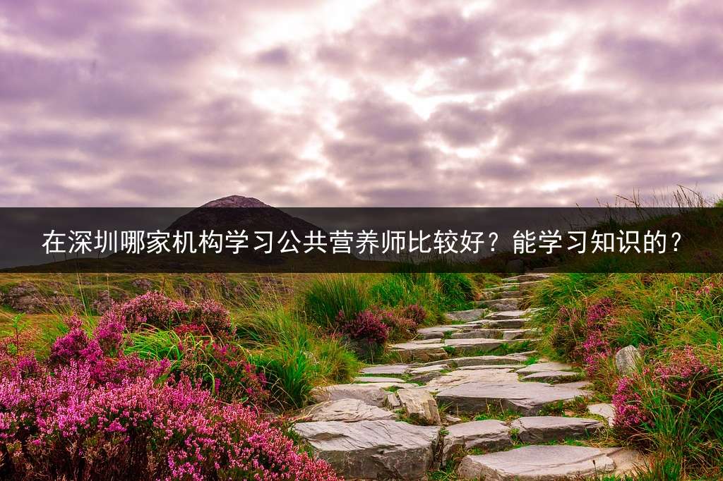 在深圳哪家机构学习公共营养师比较好？能学习知识的？